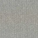 Rocco-16.webp