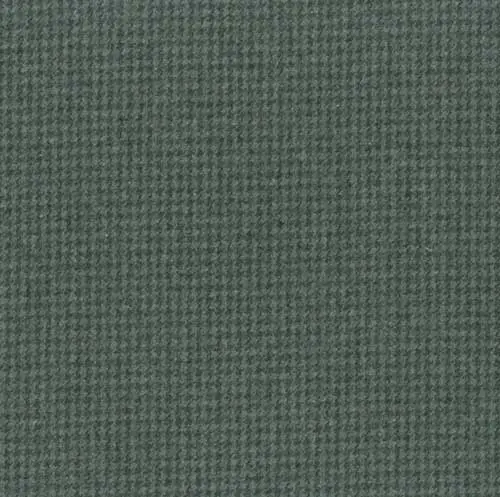 Wooly-103-gron.webp