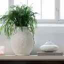 FIORA-dekoration-tray-600x600.webp