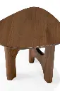 10736_Flow_side_table_varnished_teak_wild_brown_det01_cut_web.webp