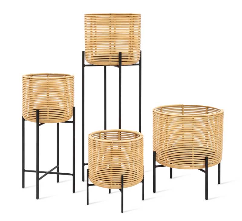 Kukkateline Vivi, S, rottinki