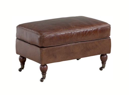 [ARTW-04-29912/I606] Rahi Dessau 76 x 51 cm, nahkaverhoilu, Vintage Cigar