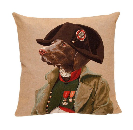 [YHDES-104-03036/M633] Tyynynpäällinen Chien Napoleon, 48 x 48 cm