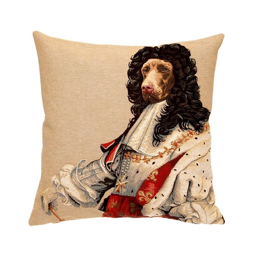 [YHDES-104-03037/M634] Tyynynpäällinen Chien Louis XIV, 48 x 48 cm